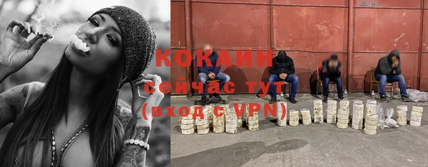 гидра Балахна